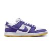 Nike SB Dunk Low Pro ISO