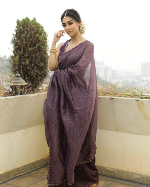 Plum Purple Striped Saree with Delicate Beaded Border